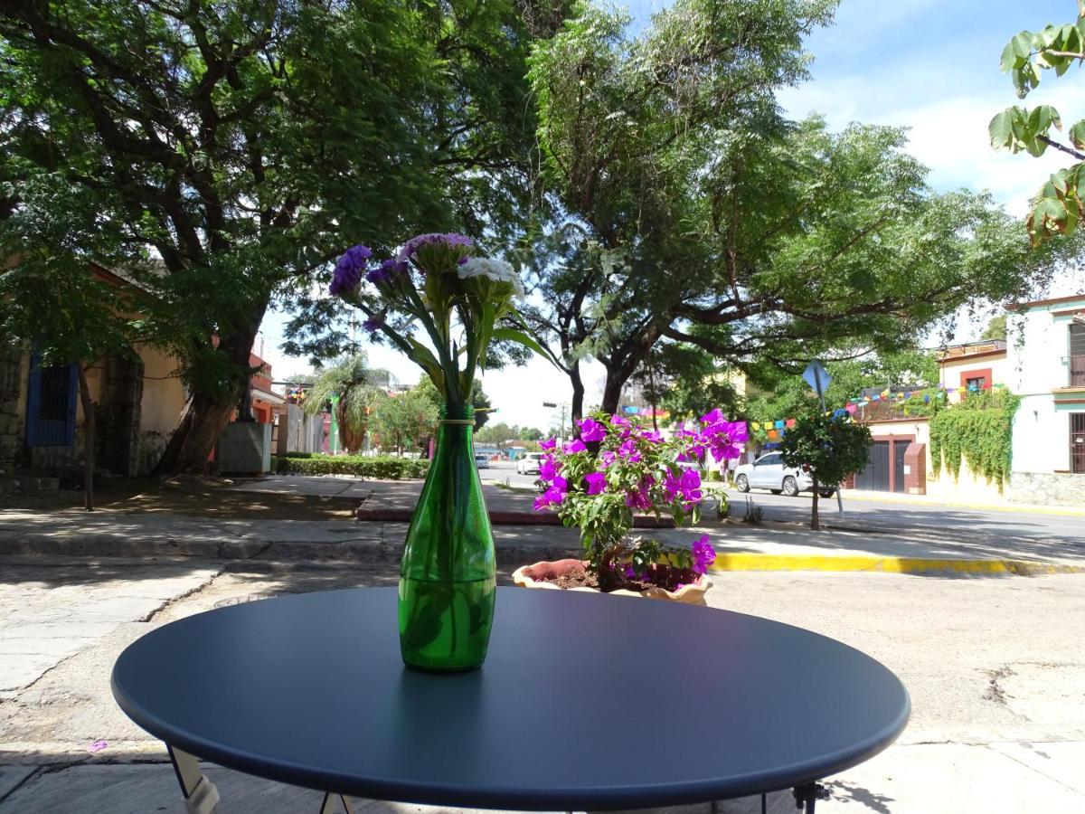 Alojamiento Jalatlaco - Car Rental! Estacionamiento En La Calle Sujeto A Disponibilidad Oaxaca Kültér fotó